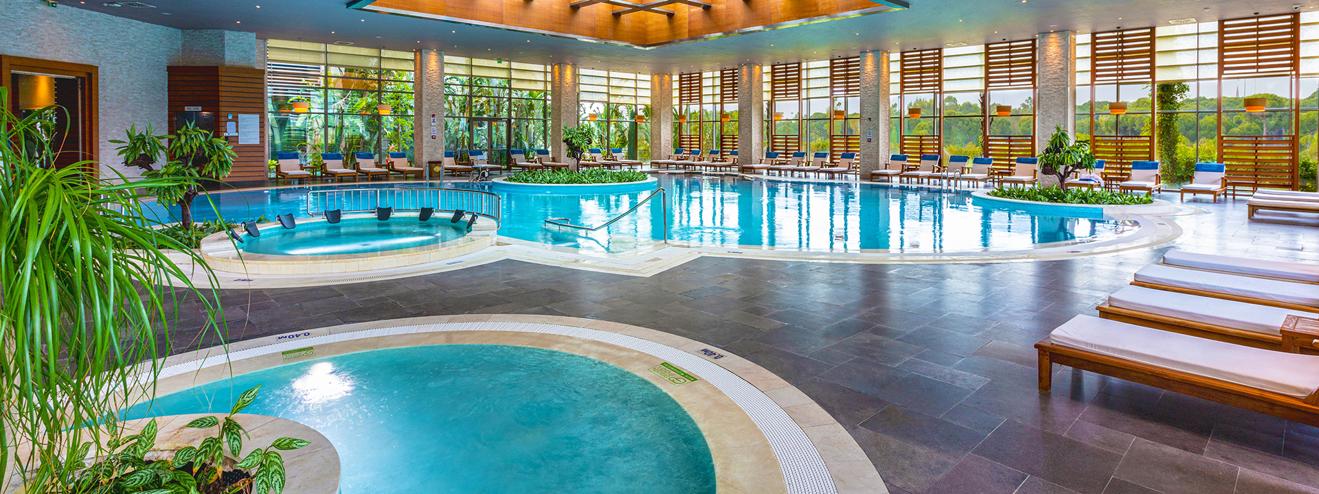 Regnumcarya Revive Wellbeing 15 Banner