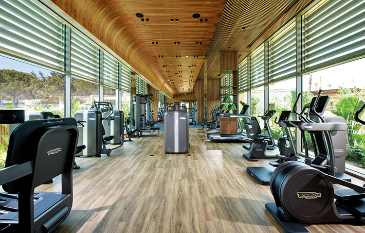 Regnum The Crown Amber Fitness Area O1 Card