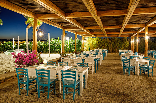 Regnumcarya Sandal Card