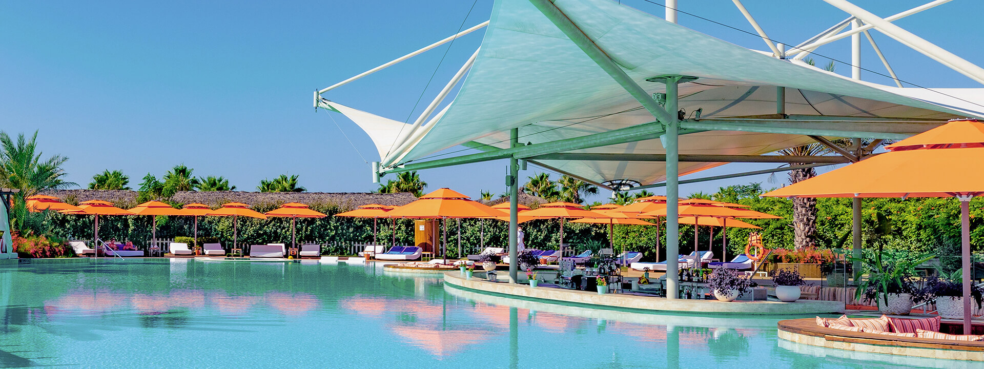 Regnumcarya Adultpool Bar Banner