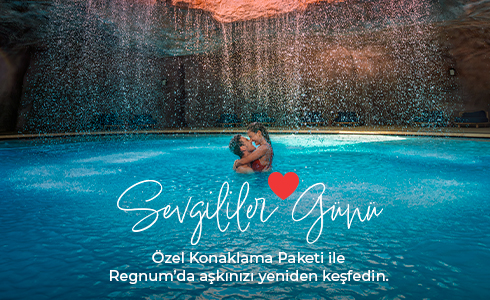 Card 490X300px TR DP